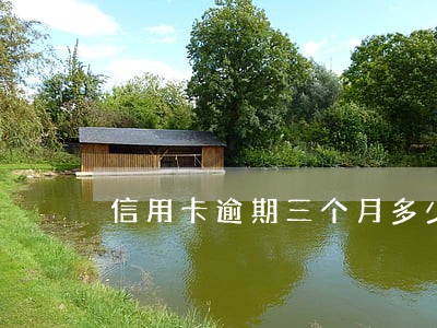 信用卡逾期三个月多少费用 信用卡逾期三个月多少费用