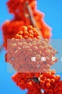 信用卡逾期三个月如何处理