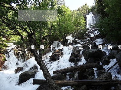 信用卡逾期三个月封卡了怎么办 信用卡逾期三个月封卡了怎么办