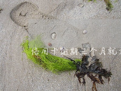信用卡逾期三个月就立案吗 信用卡逾期三个月就立案吗