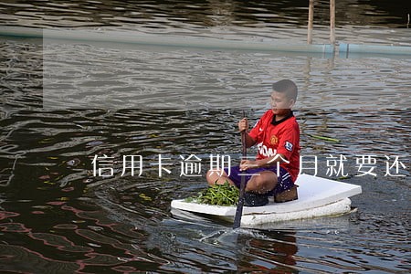 信用卡逾期三个月就要还全 信用卡逾期三个月就要还全