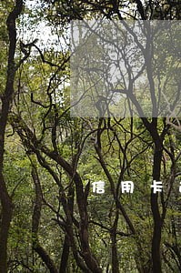 信用卡逾期三个月影响贷款 信用卡逾期三个月影响贷款