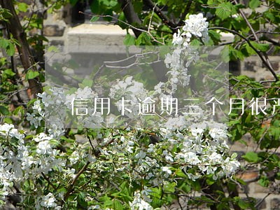 信用卡逾期三个月很严重吗 信用卡逾期三个月很严重吗