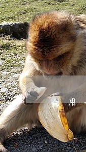 信用卡逾期三个月怎么免利息 信用卡逾期三个月怎么免利息