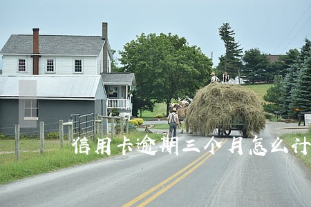 信用卡逾期三个月怎么计算 信用卡逾期三个月怎么计算