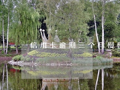 信用卡逾期三个月慢慢还可以吗