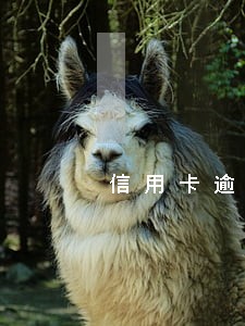 信用卡逾期三个月打电话说坐牢 信用卡逾期三个月打电话说坐牢