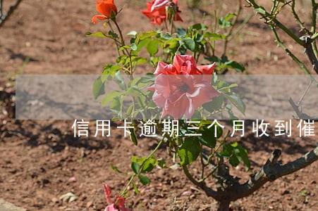 信用卡逾期三个月收到催缴涵 信用卡逾期三个月收到催缴涵
