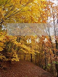 信用卡逾期三个月是不是变黑名单 信用卡逾期三个月是不是变黑名单