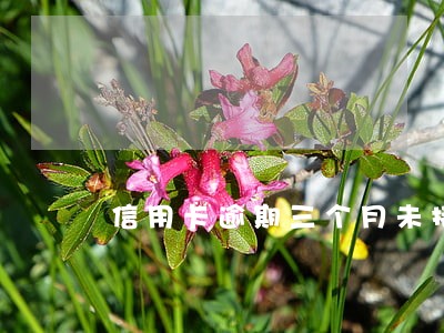 信用卡逾期三个月未接电话 信用卡逾期三个月未接电话