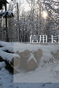信用卡逾期三个月欠28000