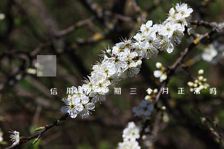 信用卡逾期三个月正常吗