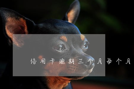 信用卡逾期三个月每个月还一点
