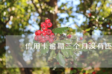 信用卡逾期三个月没有还会坐牢吗 信用卡逾期三个月没有还会坐牢吗