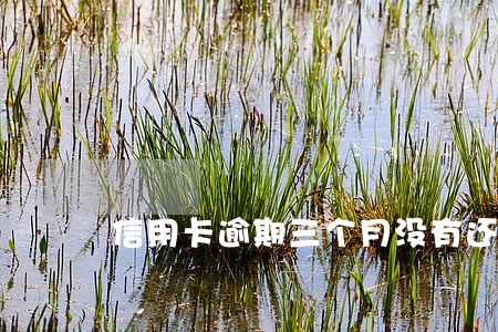 信用卡逾期三个月没有还款