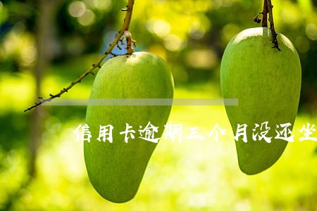 信用卡逾期三个月没还坐牢吗 信用卡逾期三个月没还坐牢吗