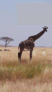 信用卡逾期三个月没钱怎么办 信用卡逾期三个月没钱怎么办