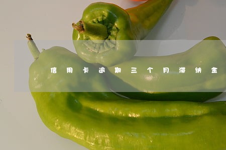 信用卡逾期三个月滞纳金 信用卡逾期三个月滞纳金