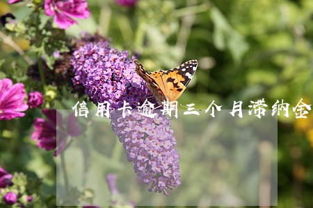 信用卡逾期三个月滞纳金怎么算
