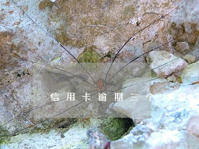 信用卡逾期三个月爆发期 信用卡逾期三个月爆发期