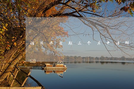 信用卡逾期三个月申请解冻 信用卡逾期三个月申请解冻