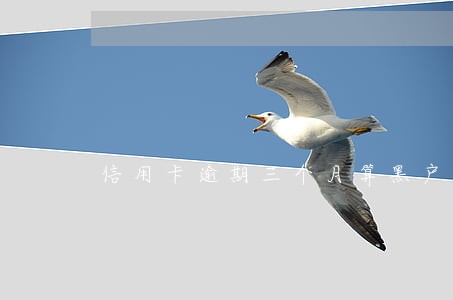 信用卡逾期三个月算黑户吗