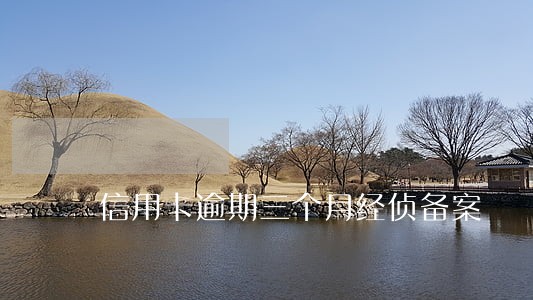 信用卡逾期三个月经侦备案