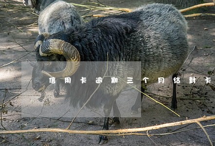 信用卡逾期三个月给封卡了 信用卡逾期三个月给封卡了