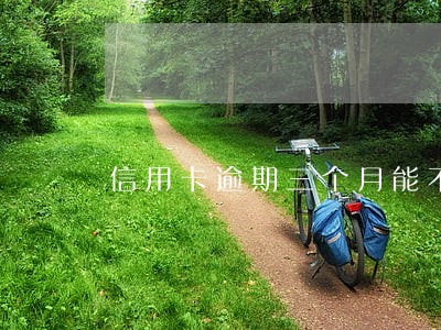 信用卡逾期三个月能不能分期 信用卡逾期三个月能不能分期