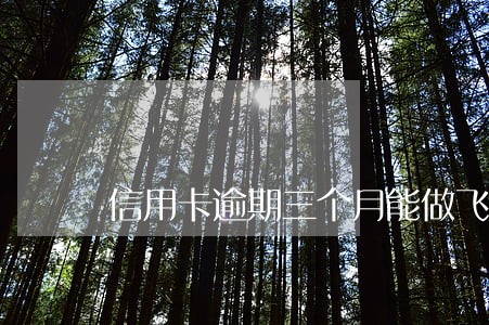 信用卡逾期三个月能做飞机吗