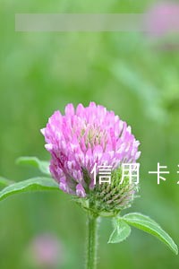 信用卡逾期三个月能开公司吗 信用卡逾期三个月能开公司吗