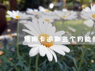 信用卡逾期三个月能消除吗 信用卡逾期三个月能消除吗