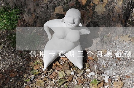 信用卡逾期三个月要全额还清 信用卡逾期三个月要全额还清