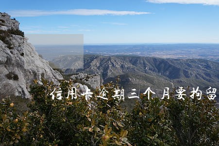 信用卡逾期三个月要拘留吗 信用卡逾期三个月要拘留吗
