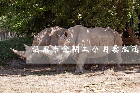 信用卡逾期三个月要求还全额 信用卡逾期三个月要求还全额