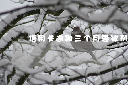 信用卡逾期三个月要被刑事拘留吗 信用卡逾期三个月要被刑事拘留吗