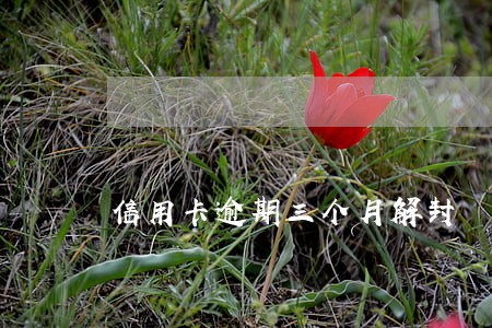 信用卡逾期三个月解封 信用卡逾期三个月解封