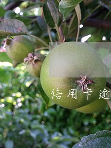 信用卡逾期三个月计算方法 信用卡逾期三个月计算方法