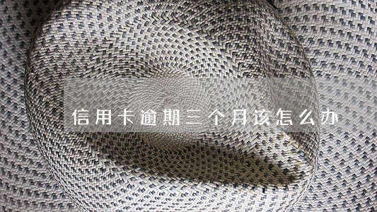 信用卡逾期三个月该怎么办 信用卡逾期三个月该怎么办