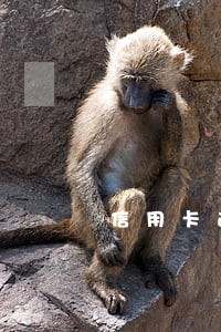 信用卡逾期三个月说要走流程 信用卡逾期三个月说要走流程