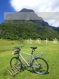 信用卡逾期三个月费用2400 信用卡逾期三个月费用2400