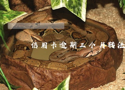 信用卡逾期三个月转法务诉讼 信用卡逾期三个月转法务诉讼