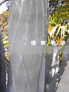 信用卡逾期三个月转法务部 信用卡逾期三个月转法务部