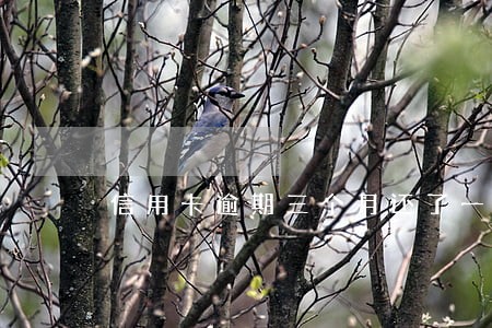 信用卡逾期三个月还了一部分 信用卡逾期三个月还了一部分