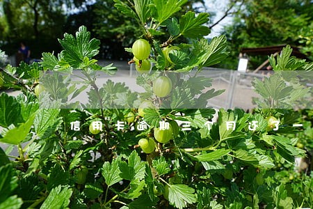 信用卡逾期三个月还了一部分还会被起诉吗 信用卡逾期三个月还了一部分还会被起诉吗