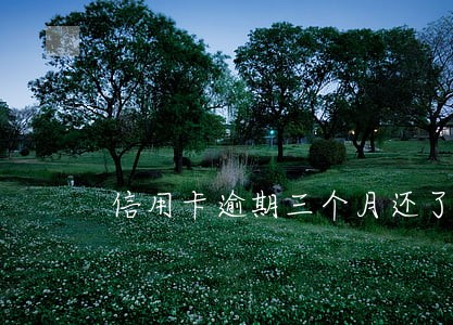 信用卡逾期三个月还了卡还能用吗 信用卡逾期三个月还了卡还能用吗