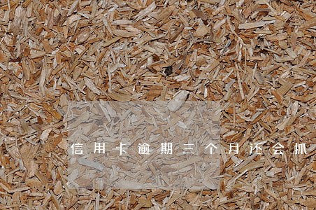 信用卡逾期三个月还会抓人吗 信用卡逾期三个月还会抓人吗