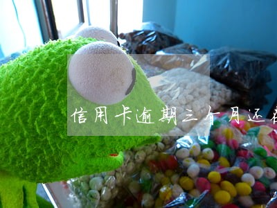 信用卡逾期三个月还在打电话 信用卡逾期三个月还在打电话