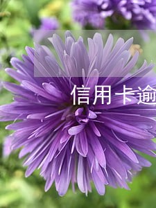 信用卡逾期三个月还扣利息