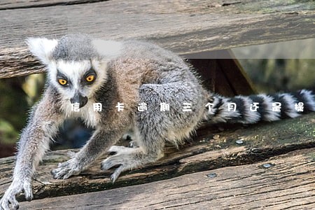 信用卡逾期三个月还是提醒 信用卡逾期三个月还是提醒